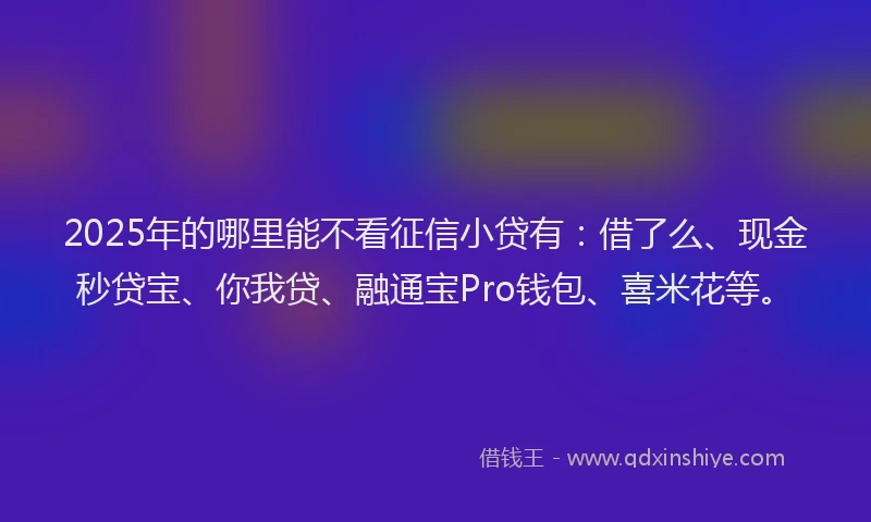 2025年的哪里能不看征信小贷有：借了么、现金秒贷宝、你我贷、融通宝Pro钱包、喜米花等。