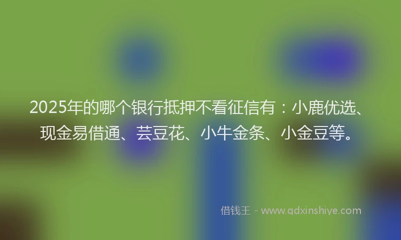 2025年的哪个银行抵押不看征信有：小鹿优选、现金易借通、芸豆花、小牛金条、小金豆等。