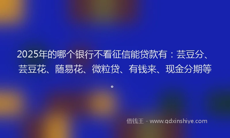 2025年的哪个银行不看征信能贷款有：芸豆分、芸豆花、随易花、微粒贷、有钱来、现金分期等。