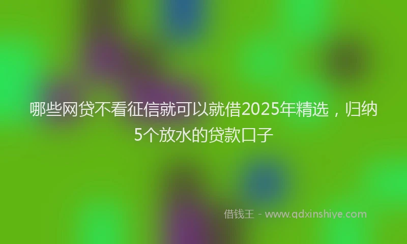 哪些网贷不看征信就可以就借2025年精选，归纳5个放水的贷款口子