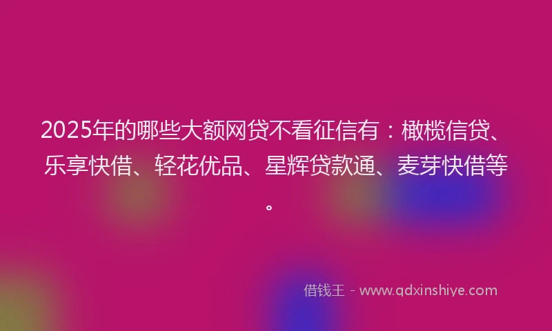 2025年的哪些大额网贷不看征信有：橄榄信贷、乐享快借、轻花优品、星辉贷款通、麦芽快借等。