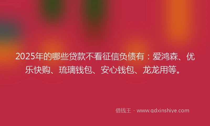 2025年的哪些贷款不看征信负债有：爱鸿森、优乐快购、琉璃钱包、安心钱包、龙龙用等。
