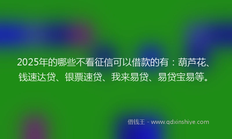 2025年的哪些不看征信可以借款的有：葫芦花、钱速达贷、银票速贷、我来易贷、易贷宝易等。
