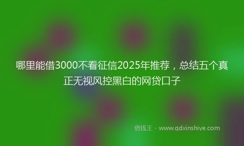 哪里能借3000不看征信2025年推荐，总结五个真正无视风控黑白的网贷口子
