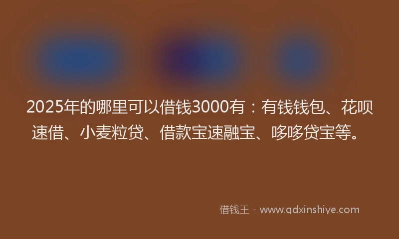 2025年的哪里可以借钱3000有：有钱钱包、花呗速借、小麦粒贷、借款宝速融宝、哆哆贷宝等。