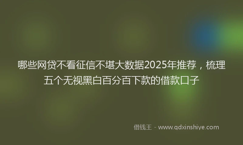 哪些网贷不看征信不堪大数据2025年推荐，梳理五个无视黑白百分百下款的借款口子