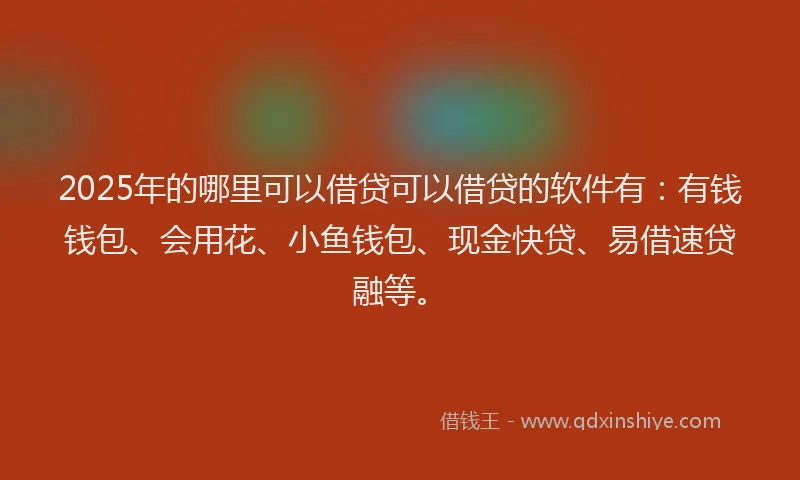 2025年的哪里可以借贷可以借贷的软件有：有钱钱包、会用花、小鱼钱包、现金快贷、易借速贷融等。