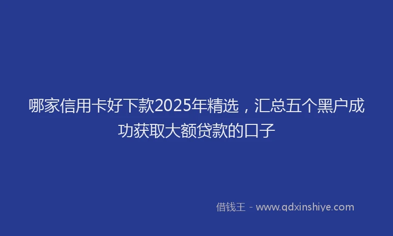 哪家信用卡好下款2025年精选，汇总五个黑户成功获取大额贷款的口子