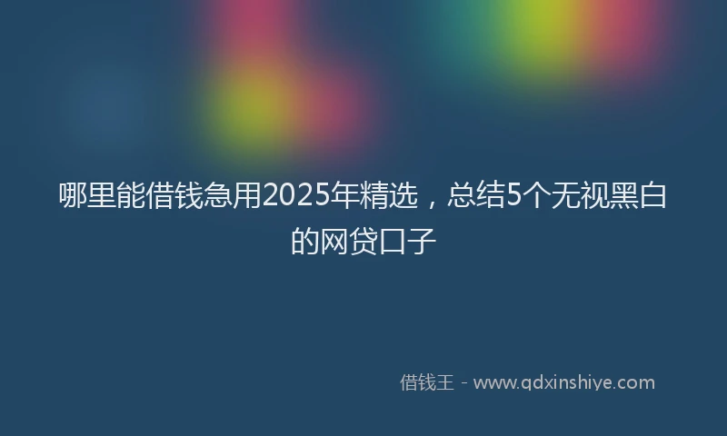 哪里能借钱急用2025年精选，总结5个无视黑白的网贷口子