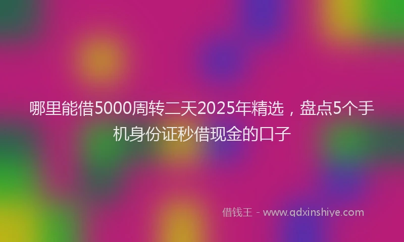 哪里能借5000周转二天2025年精选，盘点5个手机身份证秒借现金的口子