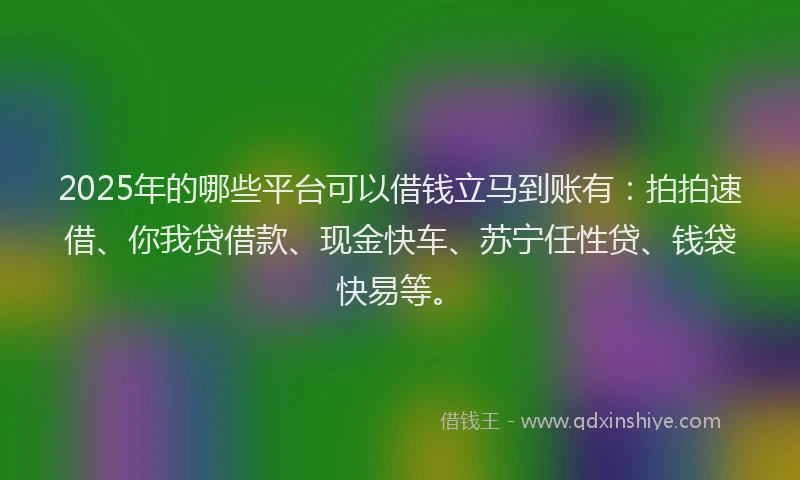 2025年的哪些平台可以借钱立马到账有：拍拍速借、你我贷借款、现金快车、苏宁任性贷、钱袋快易等。
