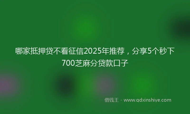 哪家抵押贷不看征信2025年推荐，分享5个秒下700芝麻分贷款口子