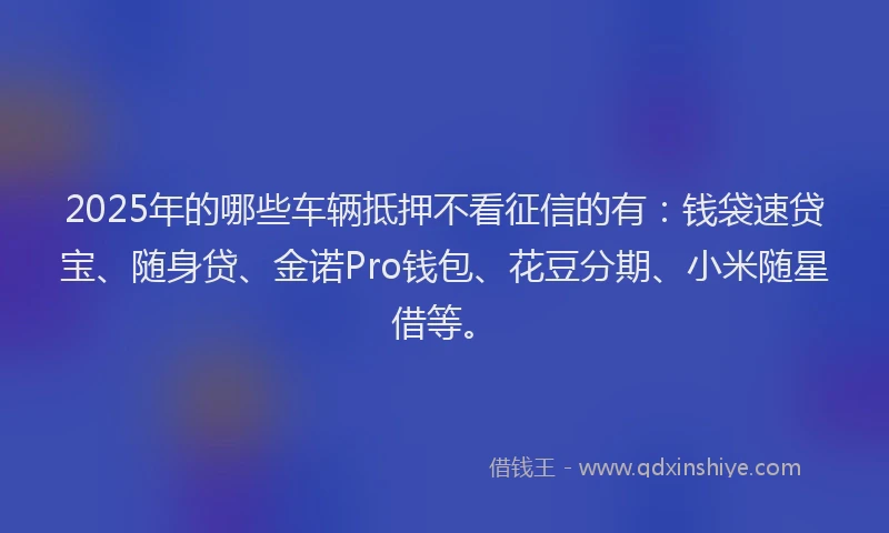 2025年的哪些车辆抵押不看征信的有：钱袋速贷宝、随身贷、金诺Pro钱包、花豆分期、小米随星借等。