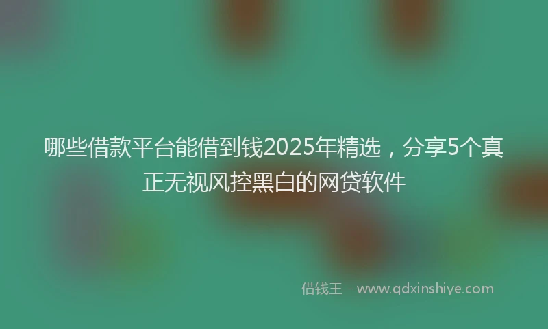 哪些借款平台能借到钱2025年精选，分享5个真正无视风控黑白的网贷软件