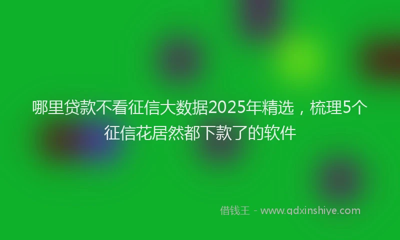 哪里贷款不看征信大数据2025年精选，梳理5个征信花居然都下款了的软件