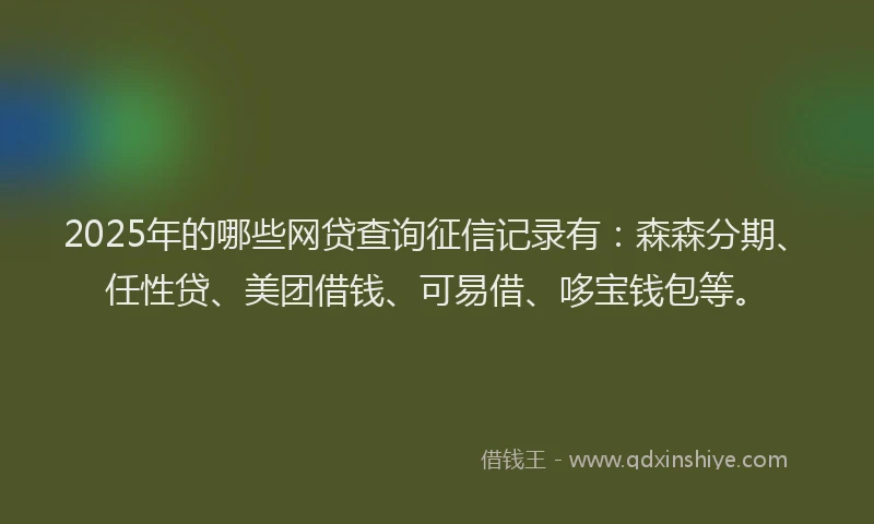 2025年的哪些网贷查询征信记录有：森森分期、任性贷、美团借钱、可易借、哆宝钱包等。