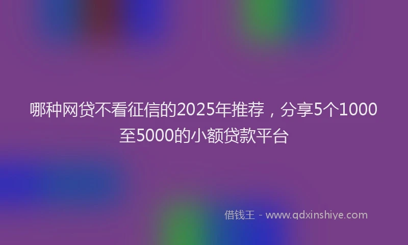 哪种网贷不看征信的2025年推荐，分享5个1000至5000的小额贷款平台