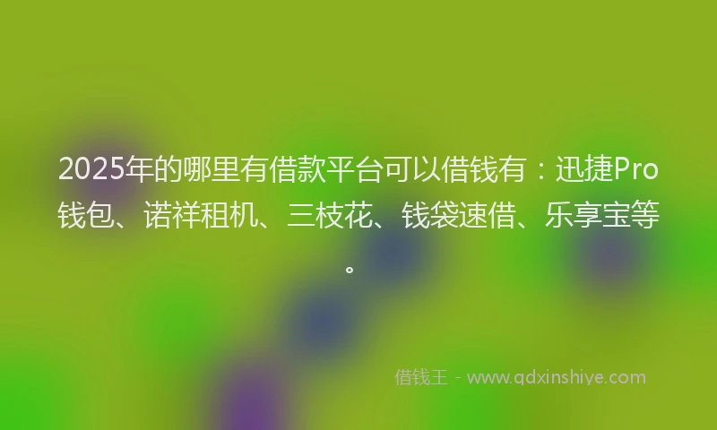 2025年的哪里有借款平台可以借钱有：迅捷Pro钱包、诺祥租机、三枝花、钱袋速借、乐享宝等。