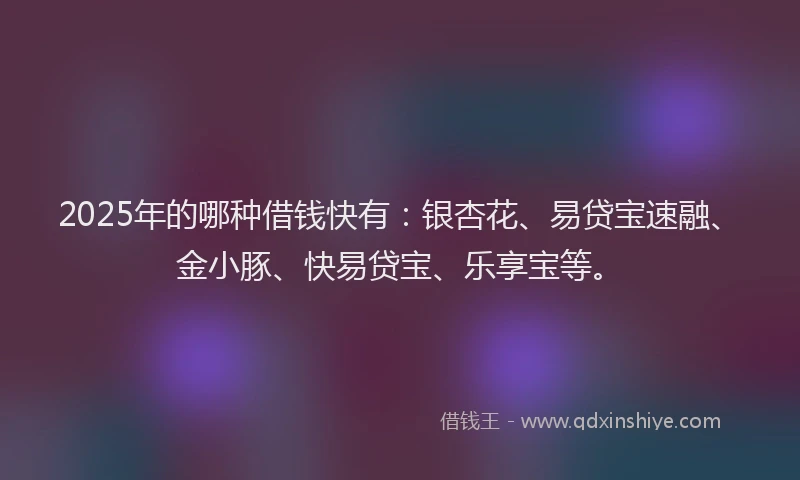 2025年的哪种借钱快有：银杏花、易贷宝速融、金小豚、快易贷宝、乐享宝等。