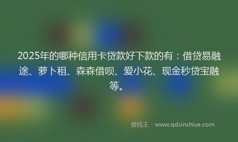 2025年的哪种信用卡贷款好下款的有：借贷易融途、萝卜租、森森借呗、爱小花、现金秒贷宝融等。