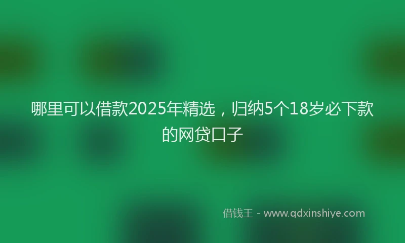 哪里可以借款2025年精选，归纳5个18岁必下款的网贷口子