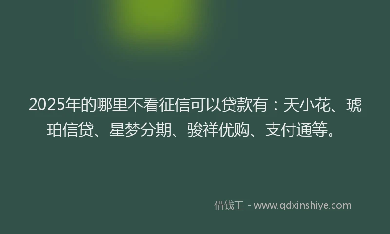 2025年的哪里不看征信可以贷款有：天小花、琥珀信贷、星梦分期、骏祥优购、支付通等。