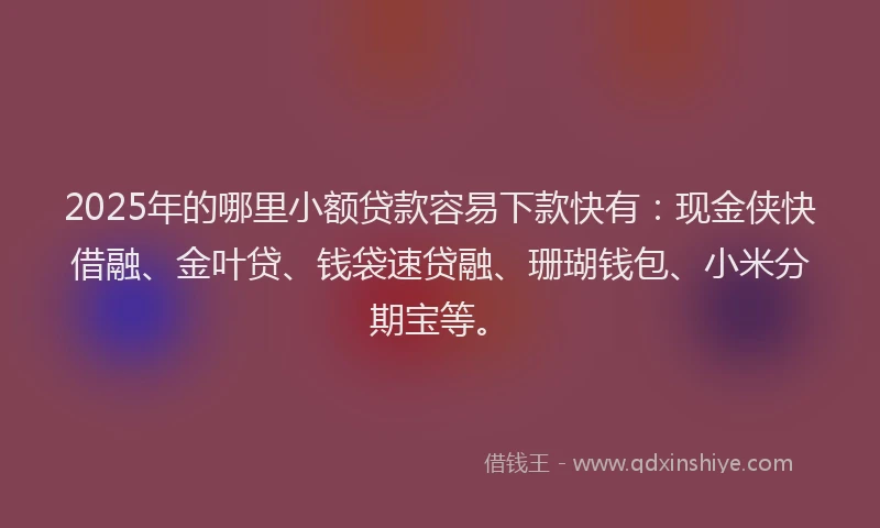 2025年的哪里小额贷款容易下款快有：现金侠快借融、金叶贷、钱袋速贷融、珊瑚钱包、小米分期宝等。