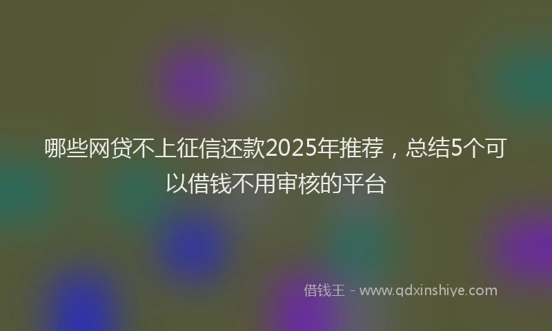哪些网贷不上征信还款2025年推荐，总结5个可以借钱不用审核的平台