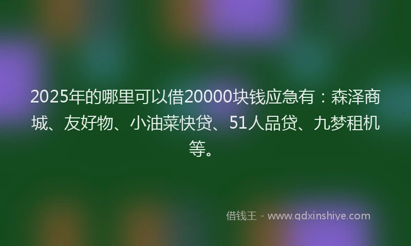 2025年的哪里可以借20000块钱应急有：森泽商城、友好物、小油菜快贷、51人品贷、九梦租机等。