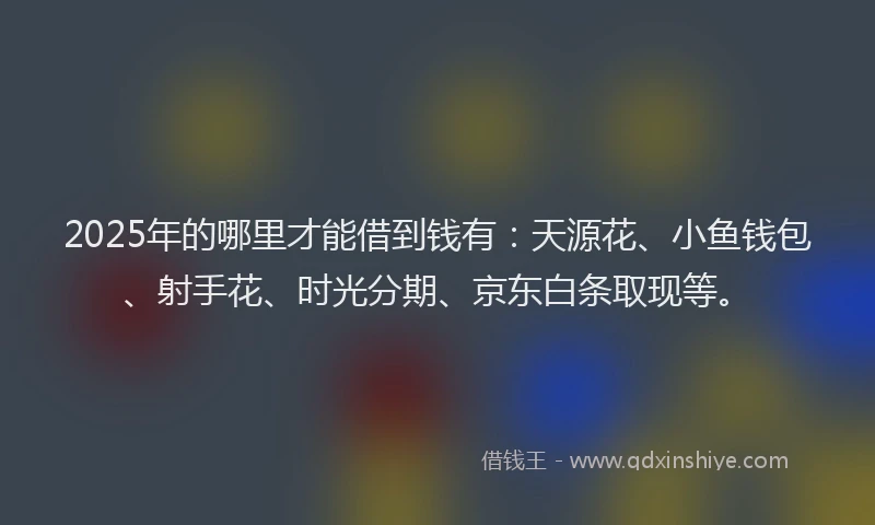 2025年的哪里才能借到钱有：天源花、小鱼钱包、射手花、时光分期、京东白条取现等。