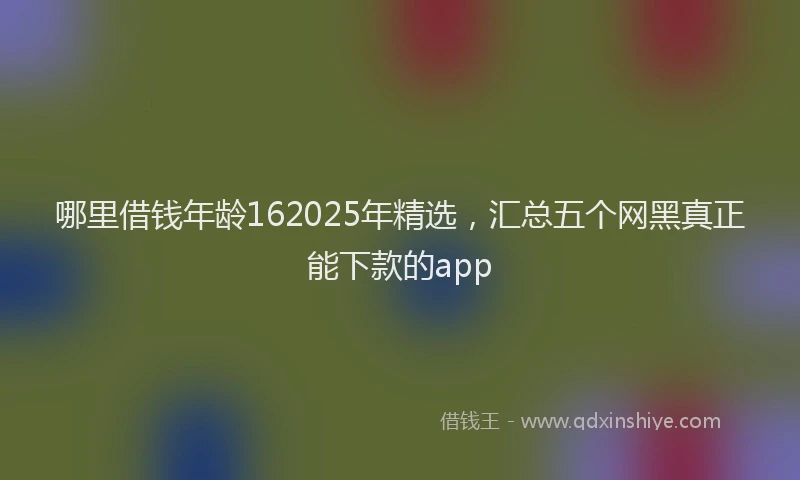 哪里借钱年龄162025年精选，汇总五个网黑真正能下款的app