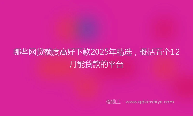 哪些网贷额度高好下款2025年精选，概括五个12月能贷款的平台