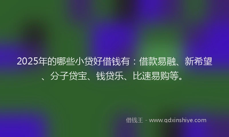 2025年的哪些小贷好借钱有：借款易融、新希望、分子贷宝、钱贷乐、比速易购等。