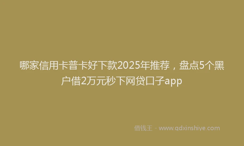 哪家信用卡普卡好下款2025年推荐，盘点5个黑户借2万元秒下网贷口子app