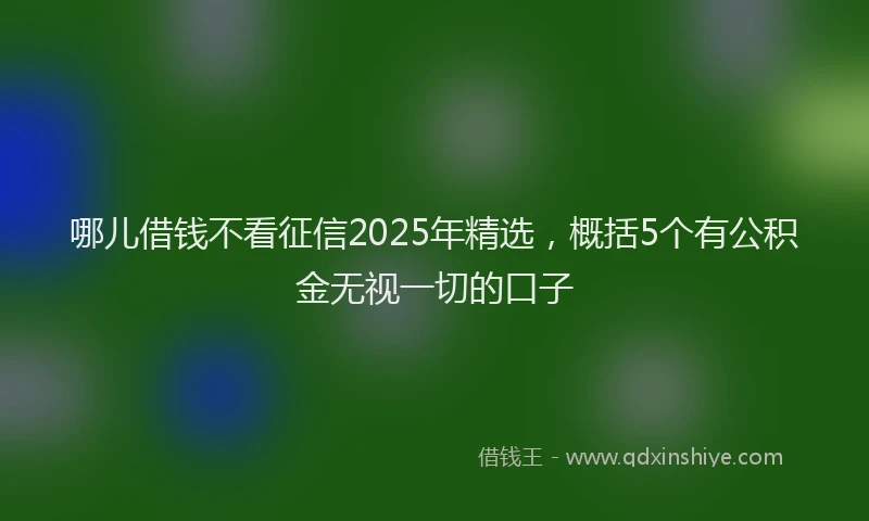 哪儿借钱不看征信2025年精选，概括5个有公积金无视一切的口子