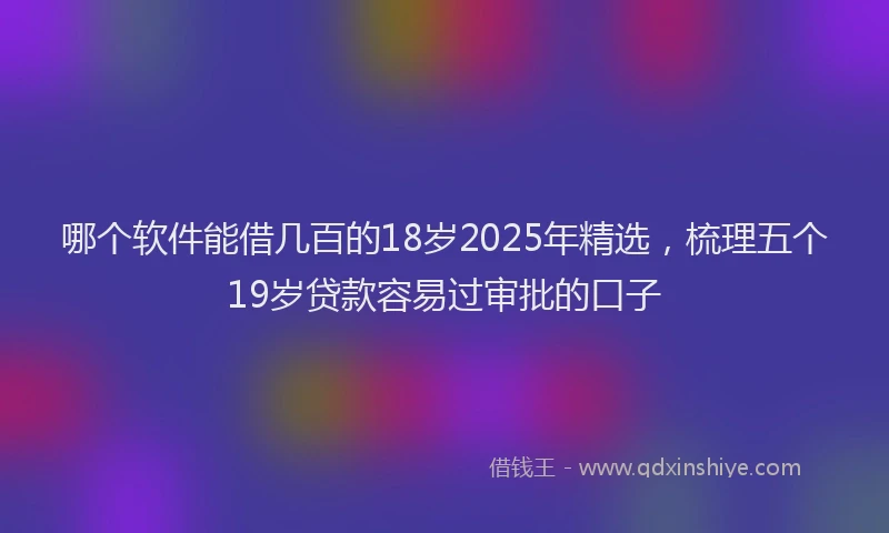 哪个软件能借几百的18岁2025年精选，梳理五个19岁贷款容易过审批的口子