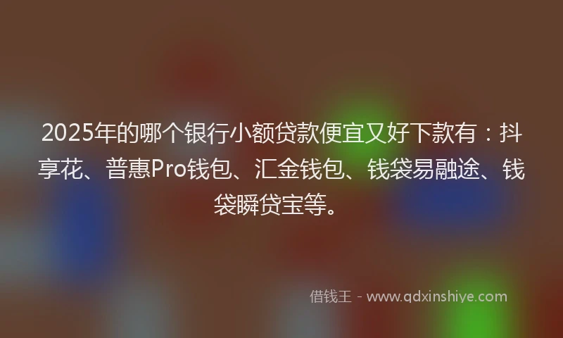 2025年的哪个银行小额贷款便宜又好下款有：抖享花、普惠Pro钱包、汇金钱包、钱袋易融途、钱袋瞬贷宝等。