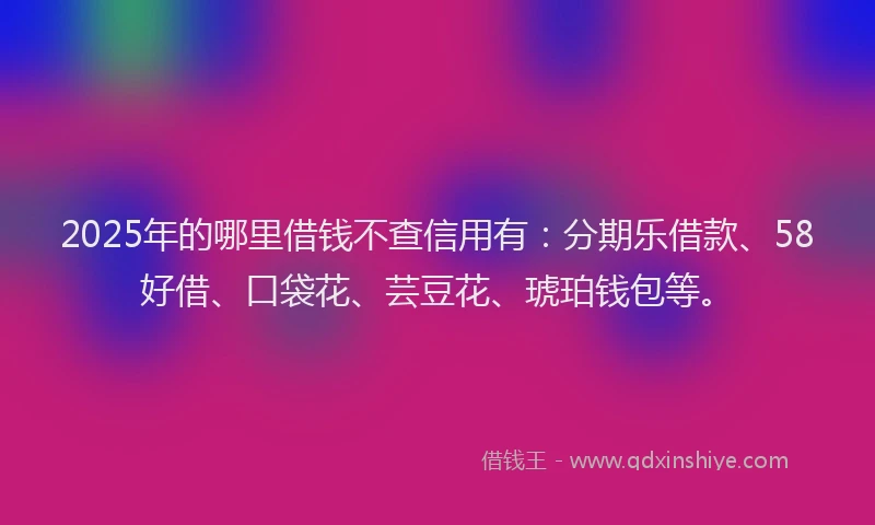 2025年的哪里借钱不查信用有：分期乐借款、58好借、口袋花、芸豆花、琥珀钱包等。