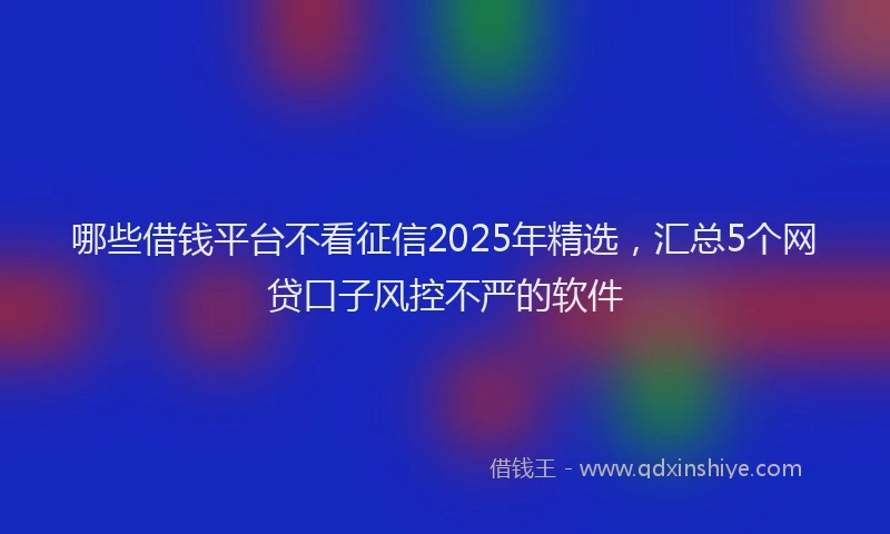 哪些借钱平台不看征信2025年精选，汇总5个网贷口子风控不严的软件