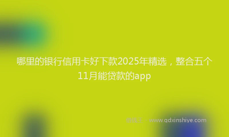 哪里的银行信用卡好下款2025年精选，整合五个11月能贷款的app