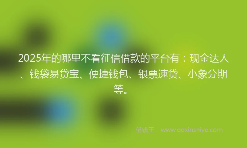 2025年的哪里不看征信借款的平台有：现金达人、钱袋易贷宝、便捷钱包、银票速贷、小象分期等。