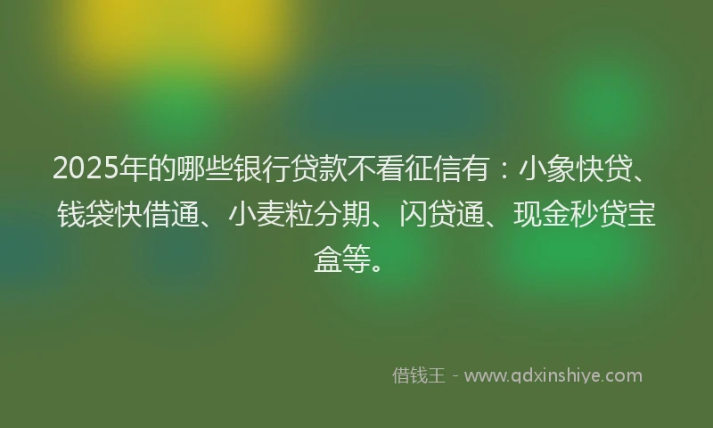2025年的哪些银行贷款不看征信有：小象快贷、钱袋快借通、小麦粒分期、闪贷通、现金秒贷宝盒等。