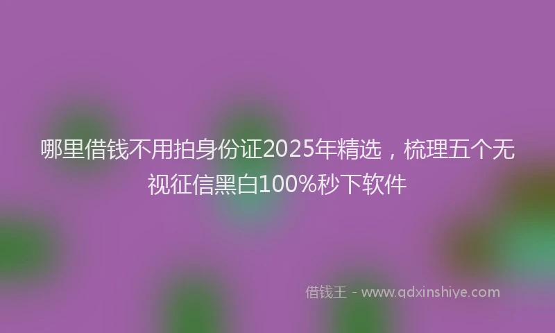 哪里借钱不用拍身份证2025年精选，梳理五个无视征信黑白100%秒下软件
