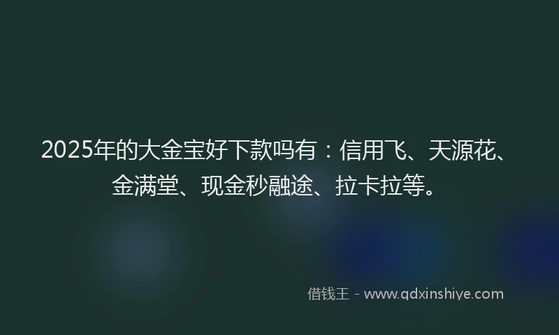 2025年的大金宝好下款吗有：信用飞、天源花、金满堂、现金秒融途、拉卡拉等。