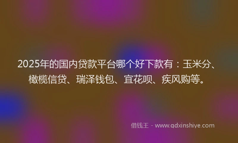 2025年的国内贷款平台哪个好下款有：玉米分、橄榄信贷、瑞泽钱包、宜花呗、疾风购等。