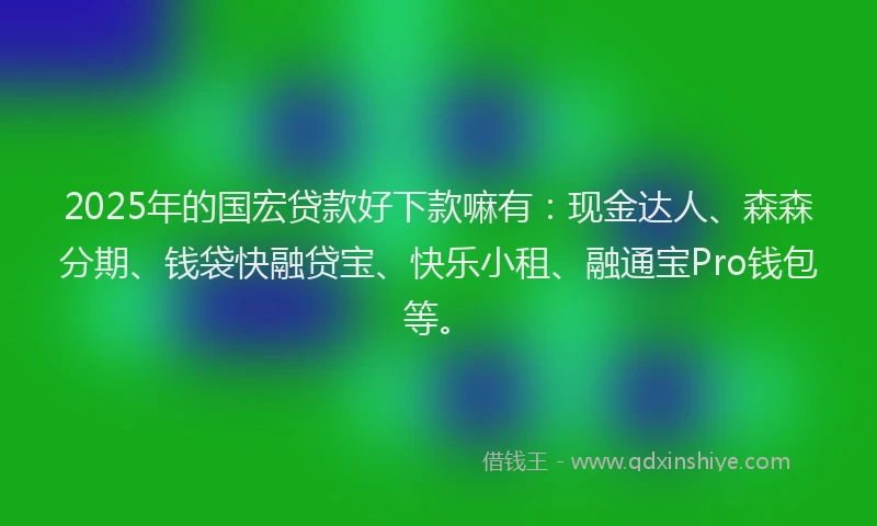 2025年的国宏贷款好下款嘛有：现金达人、森森分期、钱袋快融贷宝、快乐小租、融通宝Pro钱包等。