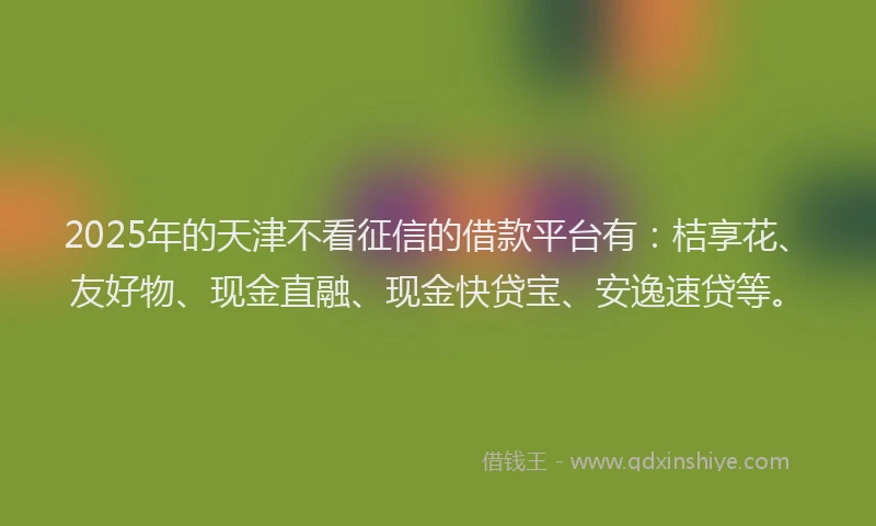 2025年的天津不看征信的借款平台有：桔享花、友好物、现金直融、现金快贷宝、安逸速贷等。