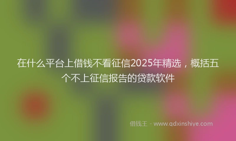 在什么平台上借钱不看征信2025年精选，概括五个不上征信报告的贷款软件