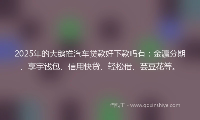 2025年的大鹅推汽车贷款好下款吗有：金瀛分期、享宇钱包、信用快贷、轻松借、芸豆花等。