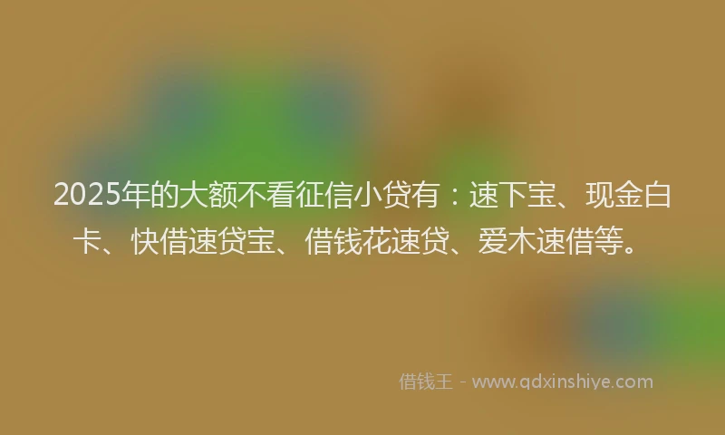 2025年的大额不看征信小贷有：速下宝、现金白卡、快借速贷宝、借钱花速贷、爱木速借等。